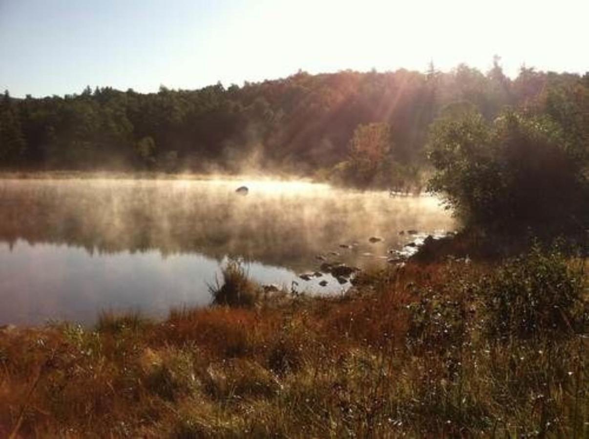 Bark Eater Inn Keene Εξωτερικό φωτογραφία